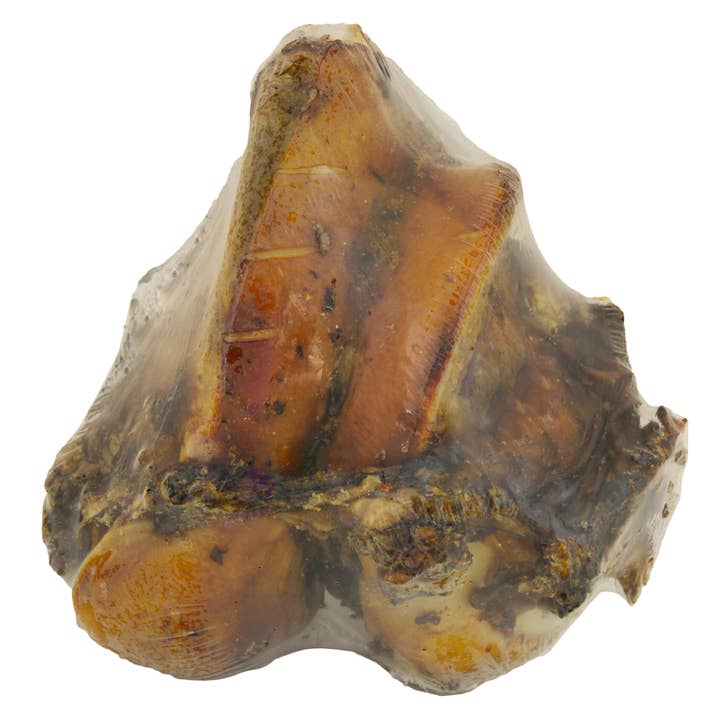 Jones Natural Chews - Wholesale Pet Treats - Dog - Jones Beef Knuckle 1 Pack Shrink Wrap with Label1