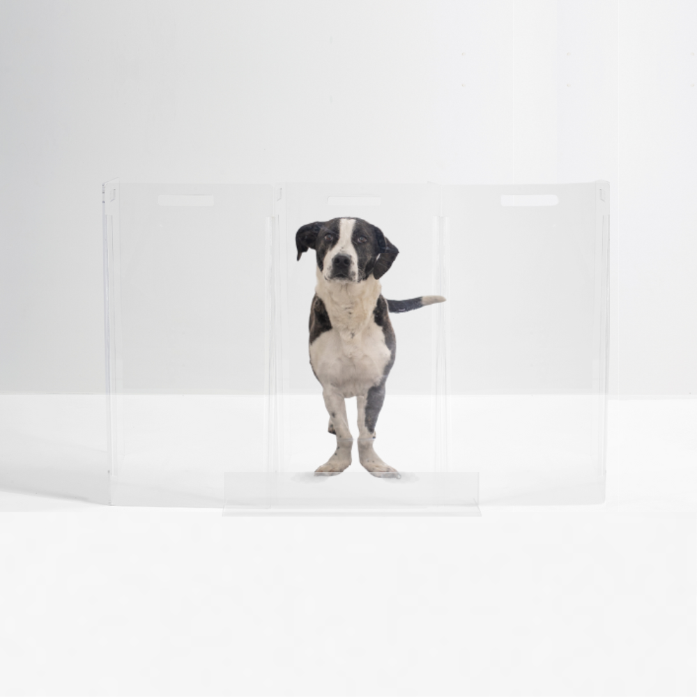 Hiddin - Wholesale Pet Folding Gate - Dog - Hall/Stairway Pet Gate23