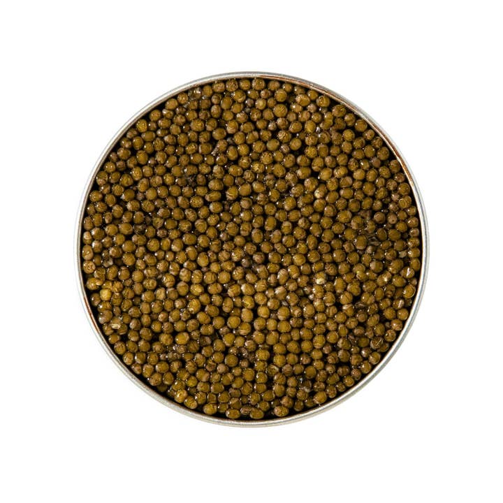 Caviar Classique de Kaluga pour la vente par Number One Caviar LLC