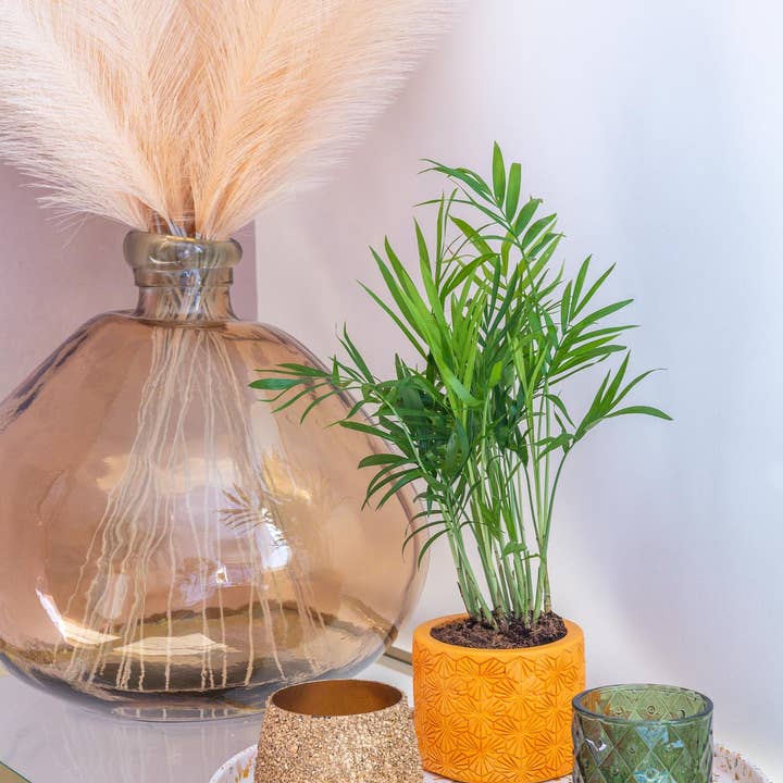 LiZ-e - Wholesale Decorative Plate/Dish/Bowl - Terrazzo tray - Round platter - Presentation platter2