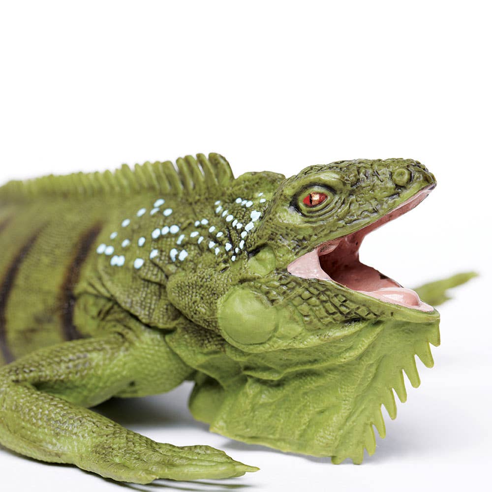 Safari Ltd. - Wholesale Figurine Toy - Kids - Iguana - 2677293