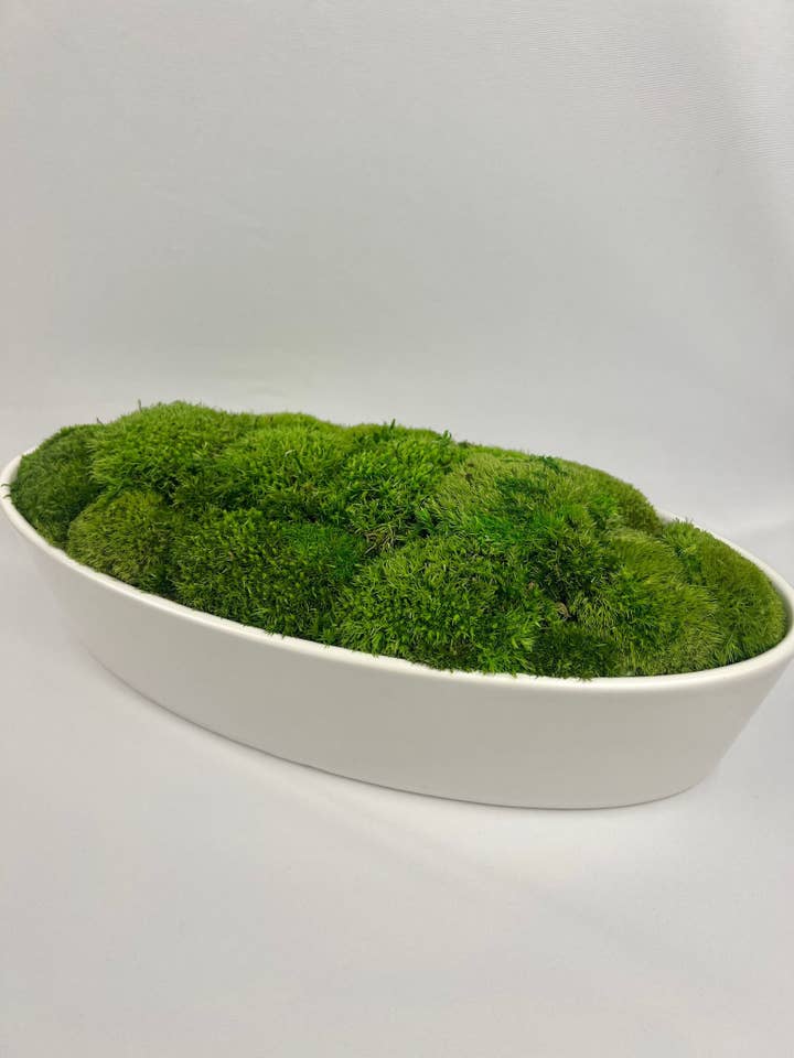 Preserved Moss Centerpiece in Ceramic Bowl for wholesale by Bright Belle