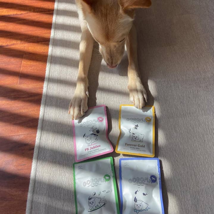 Gogoma – Engroshandel Godbid - Hund – PB + Græskar Hel Fødevare Hundegodbid til Fordøjelse6