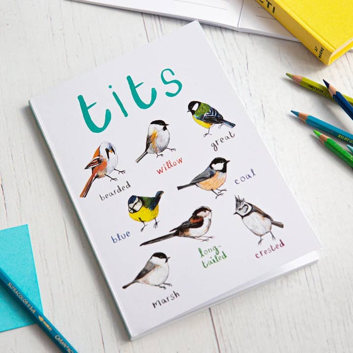 Sarah Edmonds Illustration – Caderno por atacado – Caderno de Pássaros Reciclado Titos A51