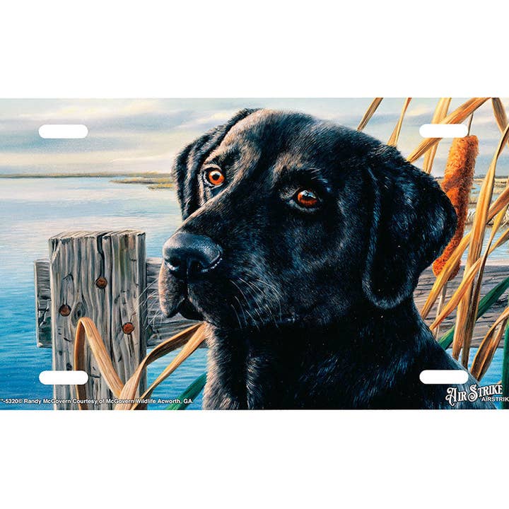 "Duck Fancy" - Decorative License Plate for wholesale by Airstrike