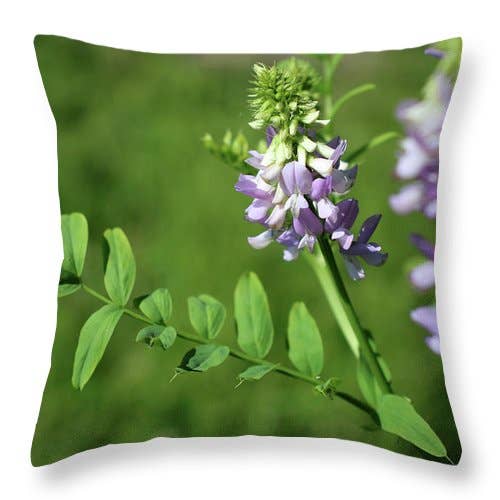 „BLOMSTENS KLYNGE“ PUDE for engroshandel hos sorayadapuzzostore