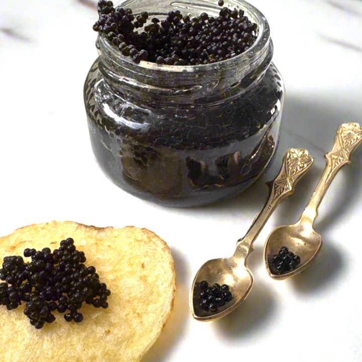 Brass Spoons with Caviar Earrings for wholesale by Rachel Pfeffer