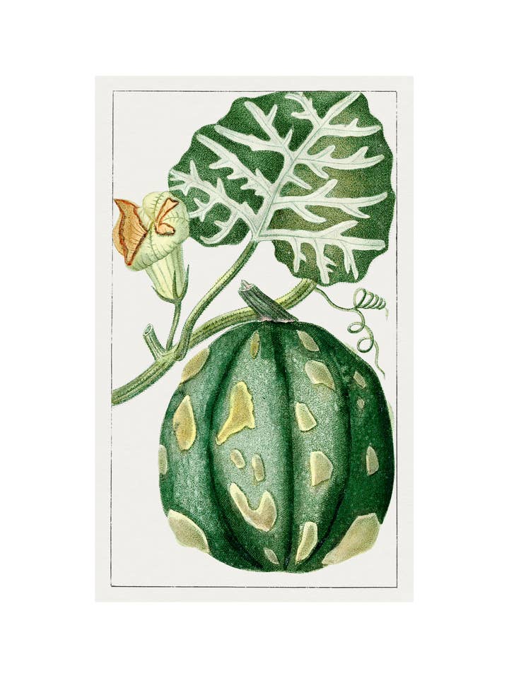 Gourd for wholesale by Sweet Tree Cards