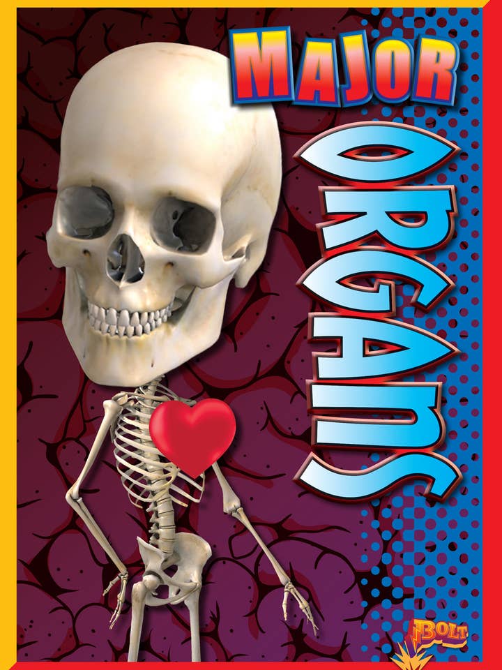 Major Organs for wholesale by Black Rabbit Books