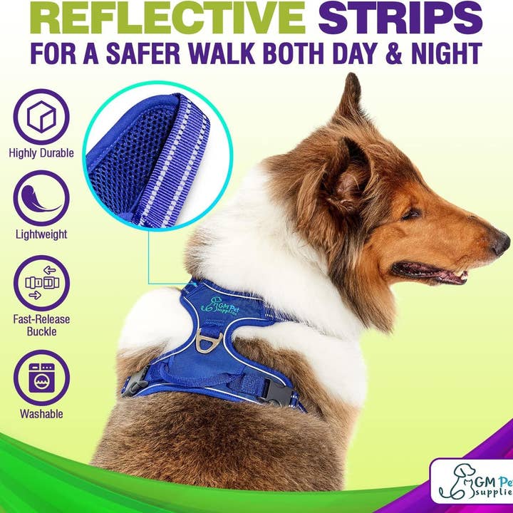 Katziela - Wholesale Pet Harness - Dog - Dog Harness Walking kit and Leash Set2