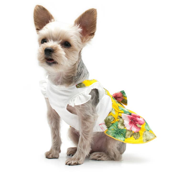 Closed Out Item- Floral Suspender Dress for wholesale by Dogo Pet