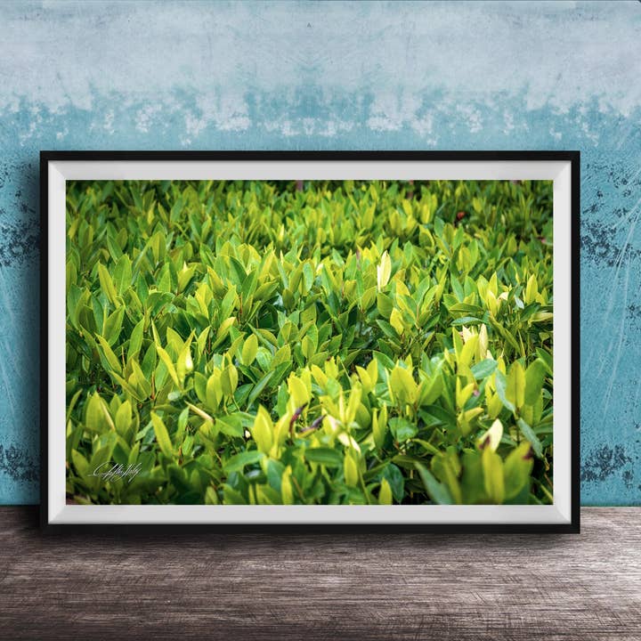 Wall Art Metal - Gold Lotus Mandala Large for wholesale by Clifton Haley Photography