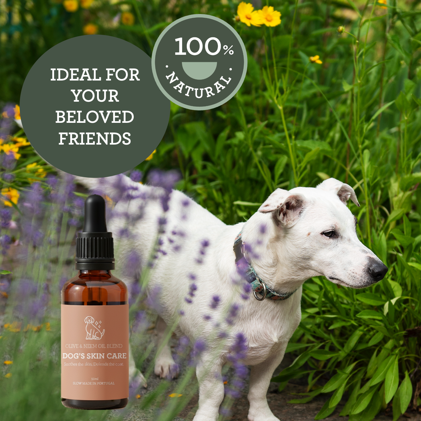 Generosa - Wholesale Pet Grooming Aid - Dog - Generosa Dog’s Skin Care – Olive & Neem Oil Blend 50 ml5