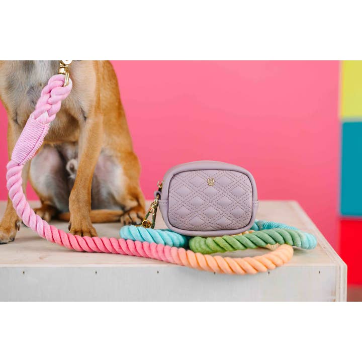 Pink Papyrus | Premium, Durable, & Stylish Dog Products – wholesale Pet poo bag dispenser – Willow Beige Vegan Leather Poop Bag Dispenser & Treat Pouch