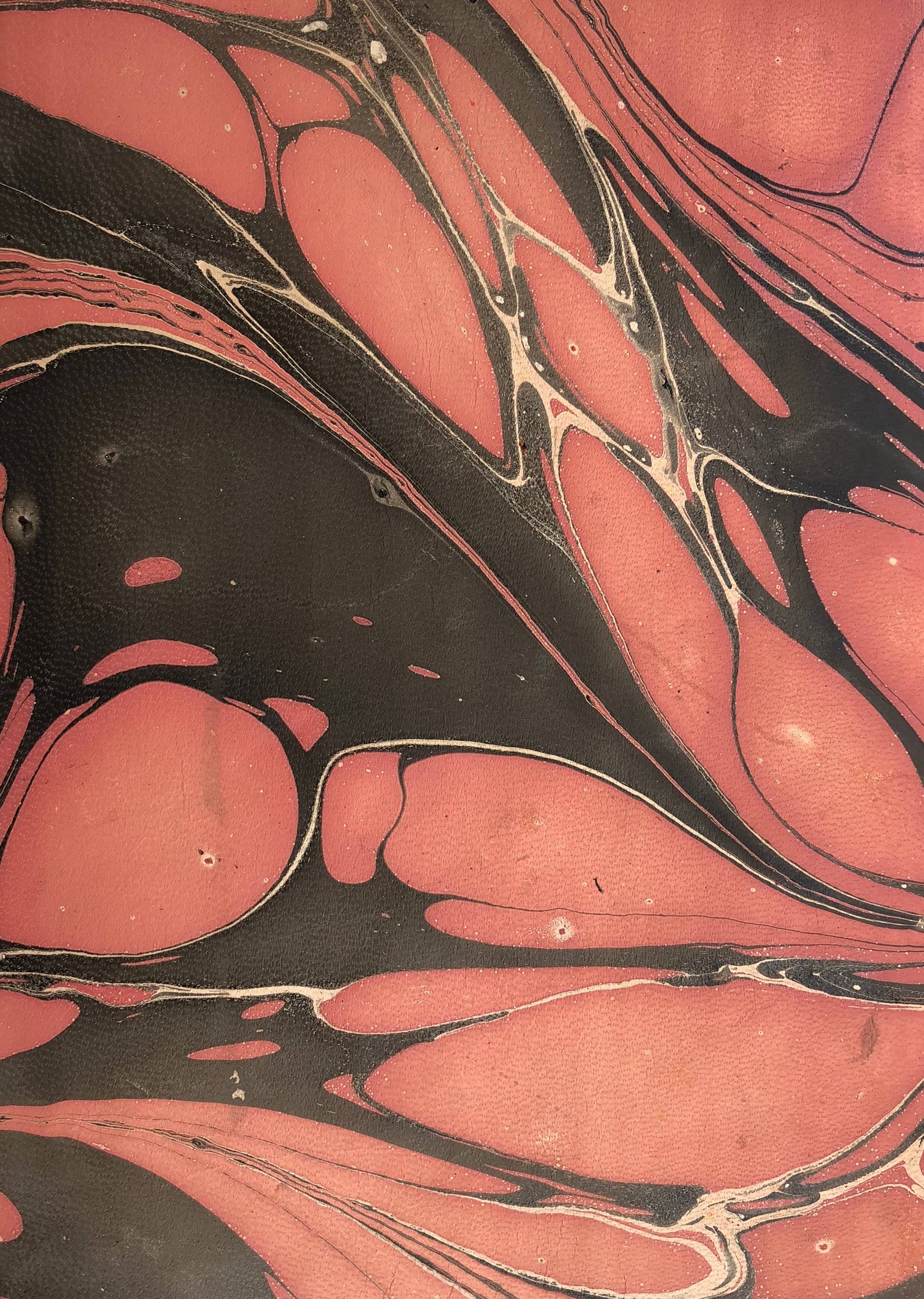 STUDIO CALEIDOSCOPE - Wholesale Portemonnee - Dames - Daisy Purse - gemarmerd leer16