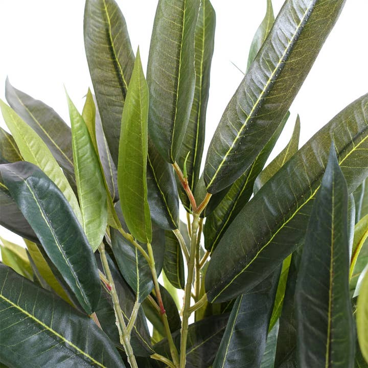Leaf Design UK LTD - Vente Plantes artificielles - Ficus Longifolia artificiel naturel 100 cm à motif de feuilles