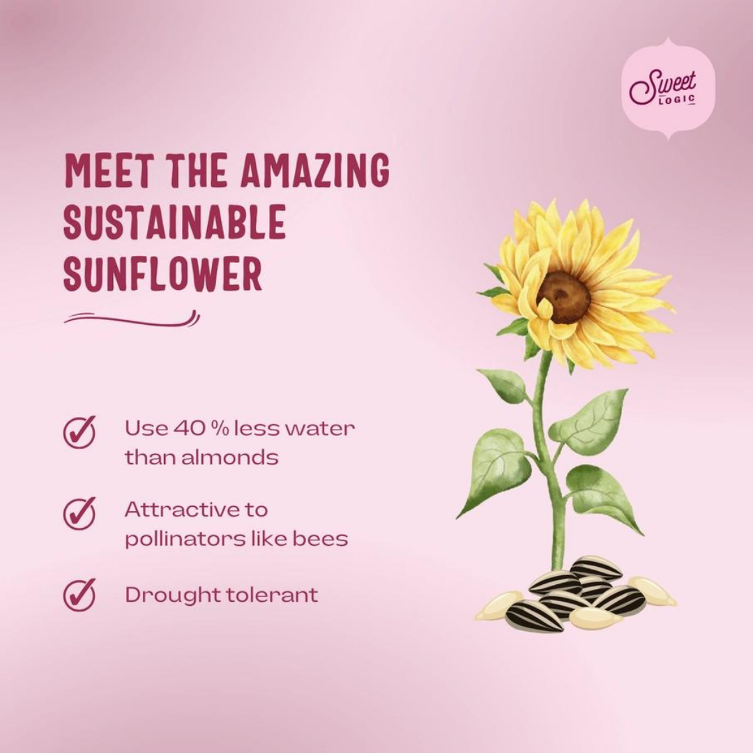 Sweet Logic - Wholesale Cookie - Double Chocolate Brownie Mini-Cookies - Keto, Nut-Free1