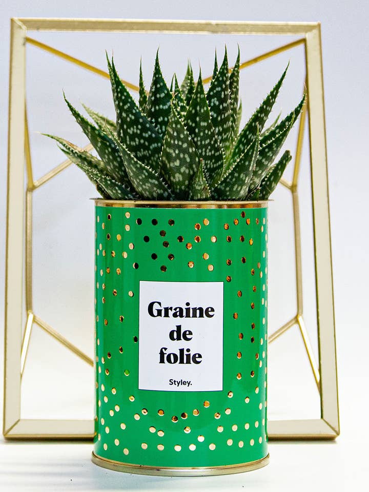 Graine De Folie - Cactus for wholesale by Styley