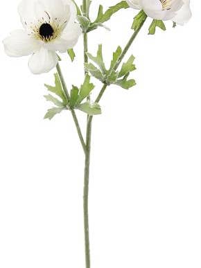 Anemone X3, 24", Cream for wholesale by Select Artificials, Inc.