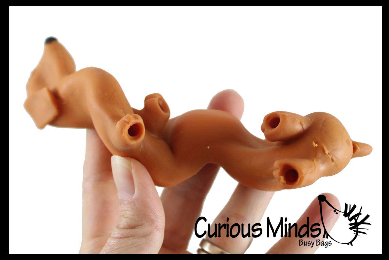 Curious Minds Toys – wholesale Squishy toy – Kids & Baby – 1 Stretchy Weiner Dog Crushed Bead Sand Filled - Doggy Lover1