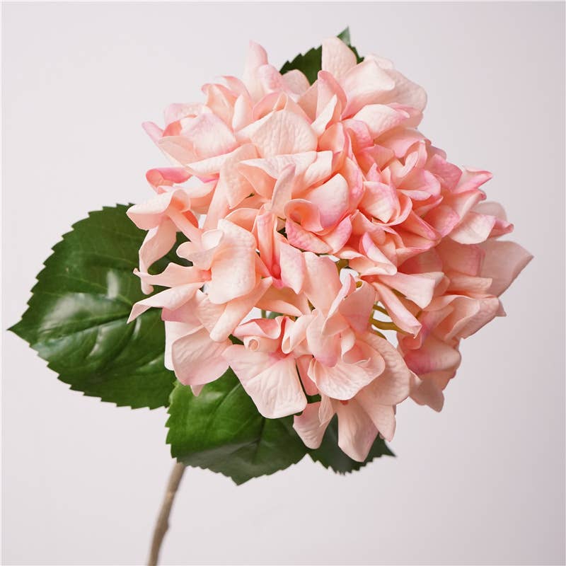 Angel Isabella - Wholesale Artificial Flowers - 24"Lux Designer-Grade Ultra-Realistic Hydrangea–(7"Bloom)5