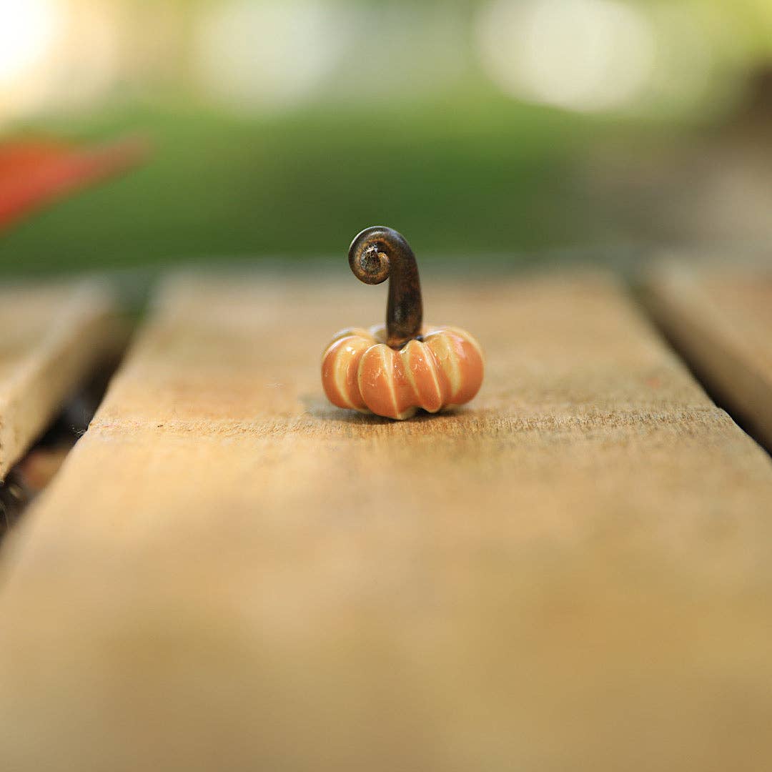 Pantless Potter – wholesale Dekorativt bordsobjekt – Små pumpor i nickelsstorlek och mindre6