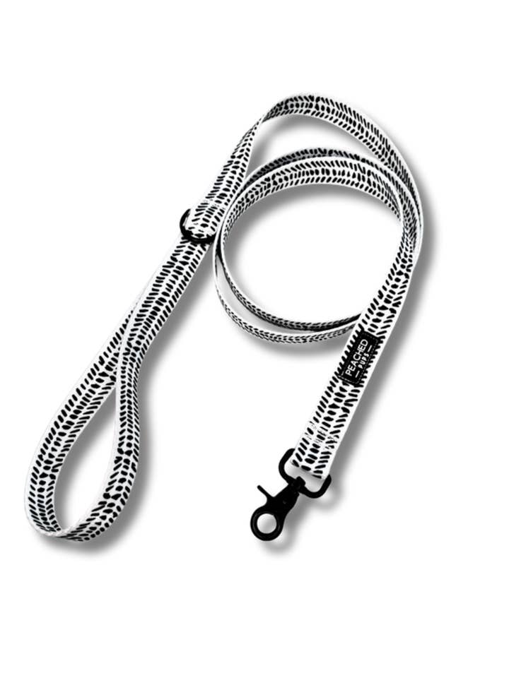 Trendsetter Leash for wholesale by Peached Pups