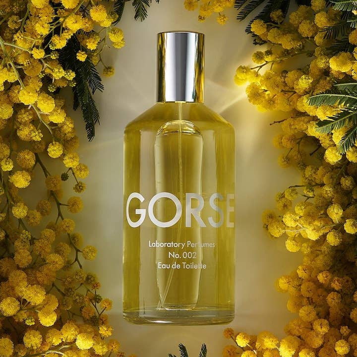 Ärttörne Eau De Toilette (100 ml) för wholesale av Laboratory Perfumes