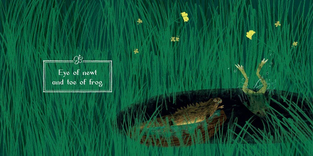 Gibbs Smith - Wholesale Baby & Toddler Book (0-2) - Macbeth4