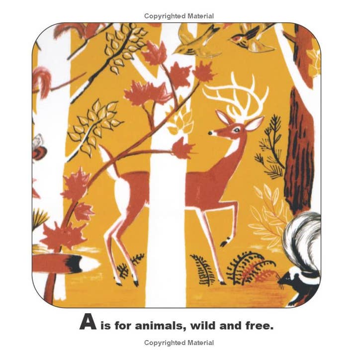 National Book Network - Wholesale Book - Kids - Dahlov Ipcar's Maine Alphabet