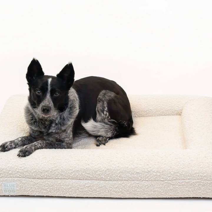 Bluewater Dog – Großhandel Haustierbett – Hund – Orthopädisches Bluewater Hundebett im Bouclé-Design, mittelgroß, Cloud