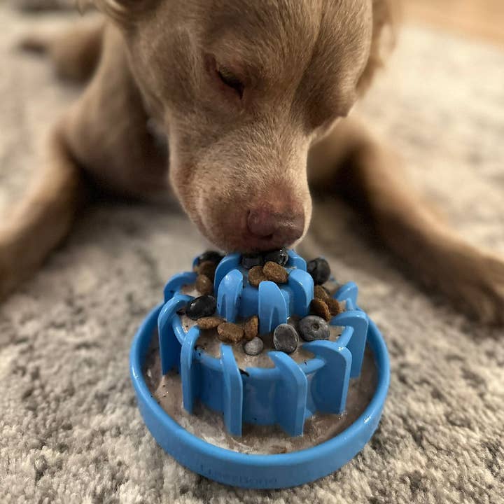 Freezbone - Wholesale Pet Chew Toy - Dog - FreezLava - Versatile Dog Chew Toy5