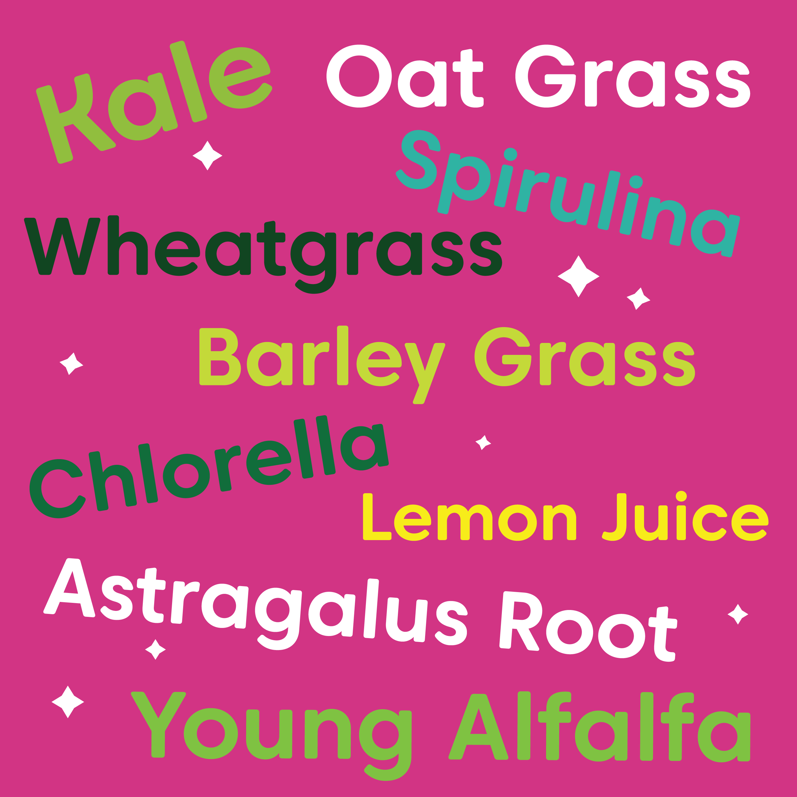 Wilderness Poets - Wholesale Protein/Superfood Powder - Organic Alkalizing Super Greens3