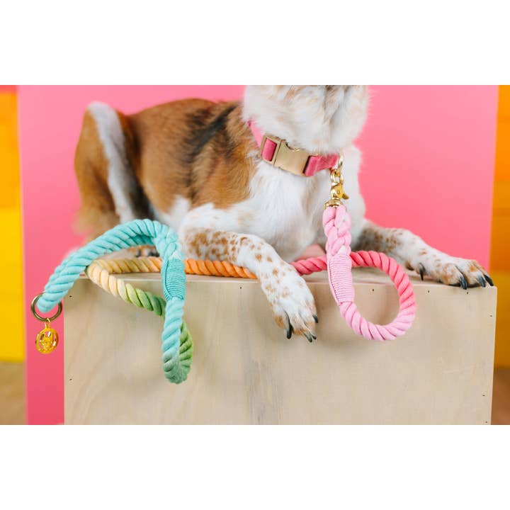 Pink Papyrus | Premium, Durable, & Stylish Dog Products - Wholesale Pet Collar - Dog - Ella Dog Collar | Pink Dog Collar | Dog Collar