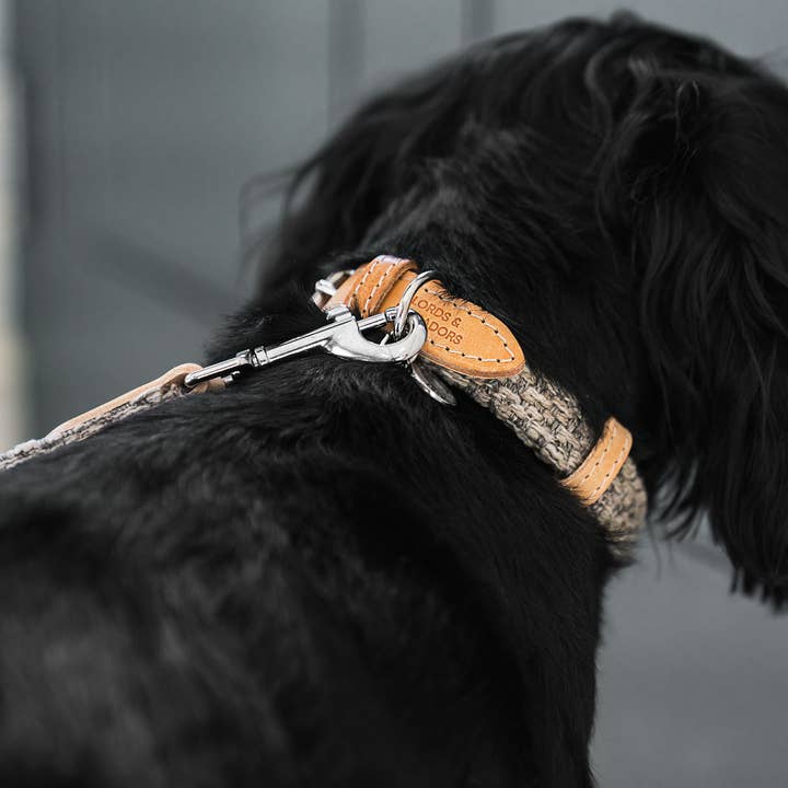 Kiesel Essentials Herdwick Hundehalsband in Pebble für den Großhandel auf Faire