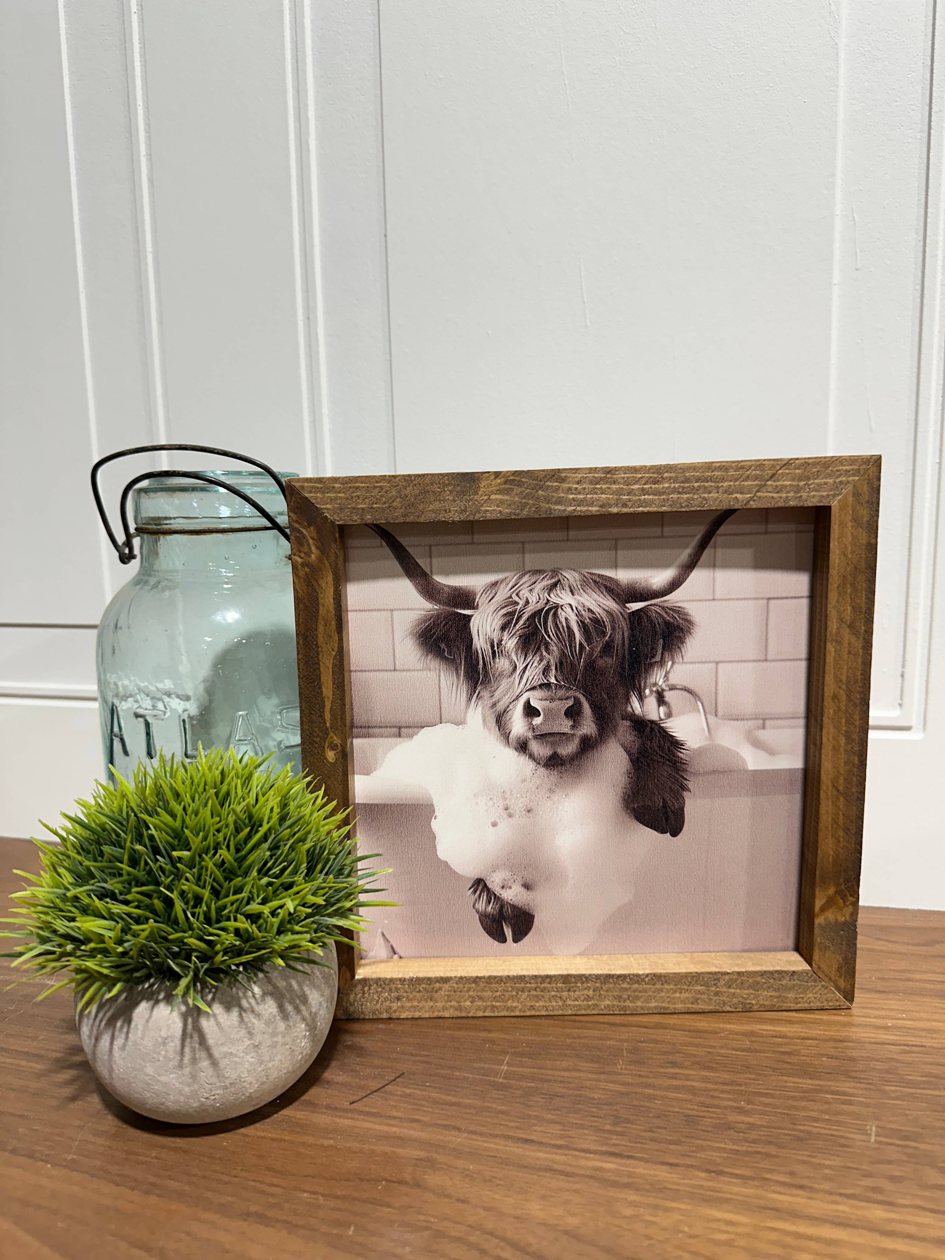 The Broken Board - Venta al por mayor Ilustración - Vaca Highland sumergida en la bañera7