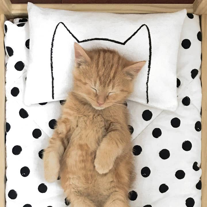 Xenotees - Wholesale Pet Toy - Cat - Made in the USA Cat Bed Pillow Kicker Toy with Catnip or Not