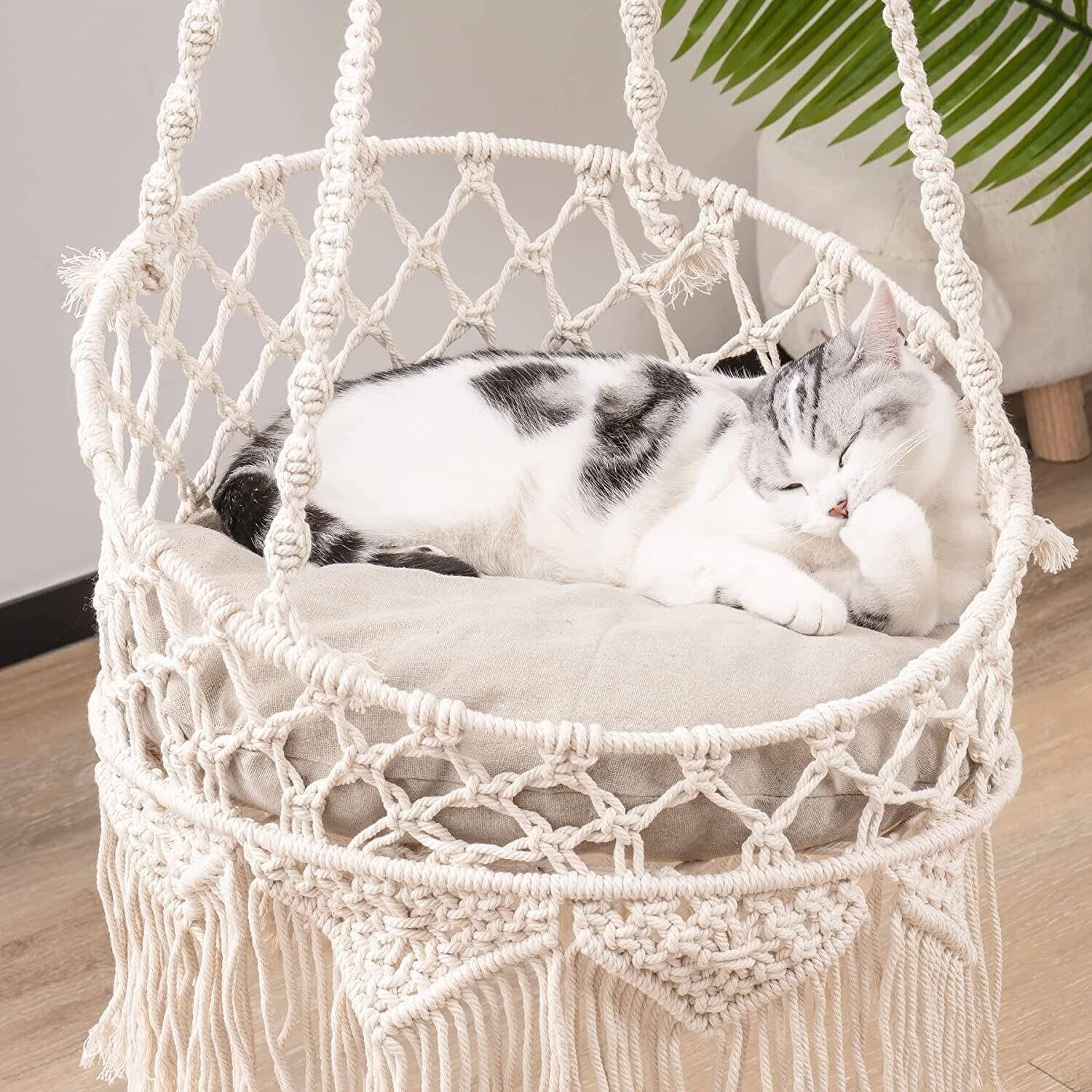 hanging cat bed