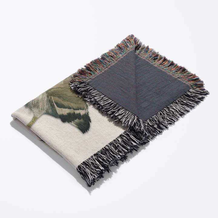 3dRose - Wholesale Throw Blanket - 3dRose, Snowy Plover Shorebird, Blanket3