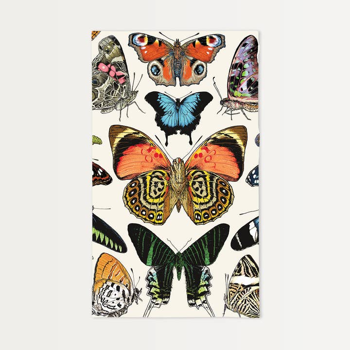 Fjärilar Elfenbensfärgad Mjölpåsehandduk - REA! för wholesale av Brook Isle