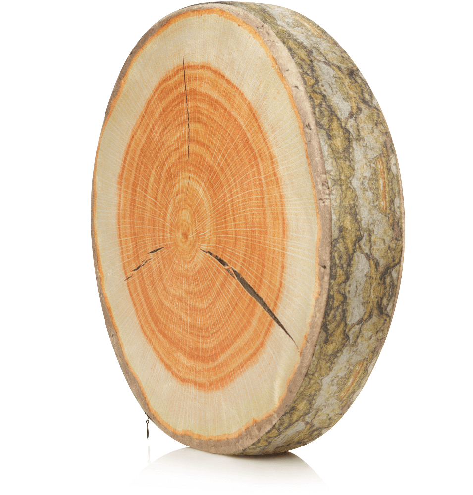 Husband Pillow - Vendita all'ingrosso Cuscini per letto - 360 - FETTA-REGISTRO-MAPL16