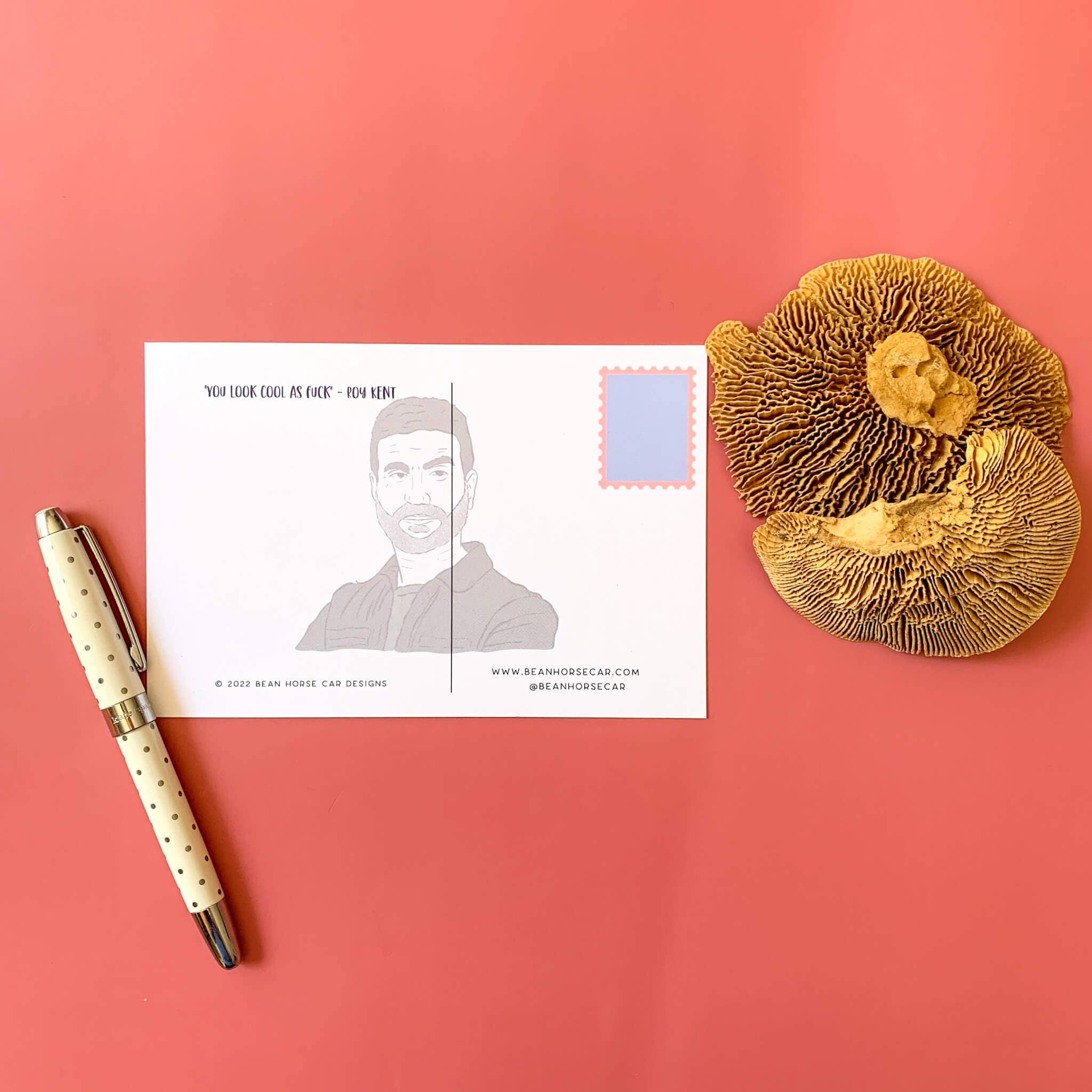 Bean Horse Car Designs - Wholesale Postcard - Kent Lasso Postcard3