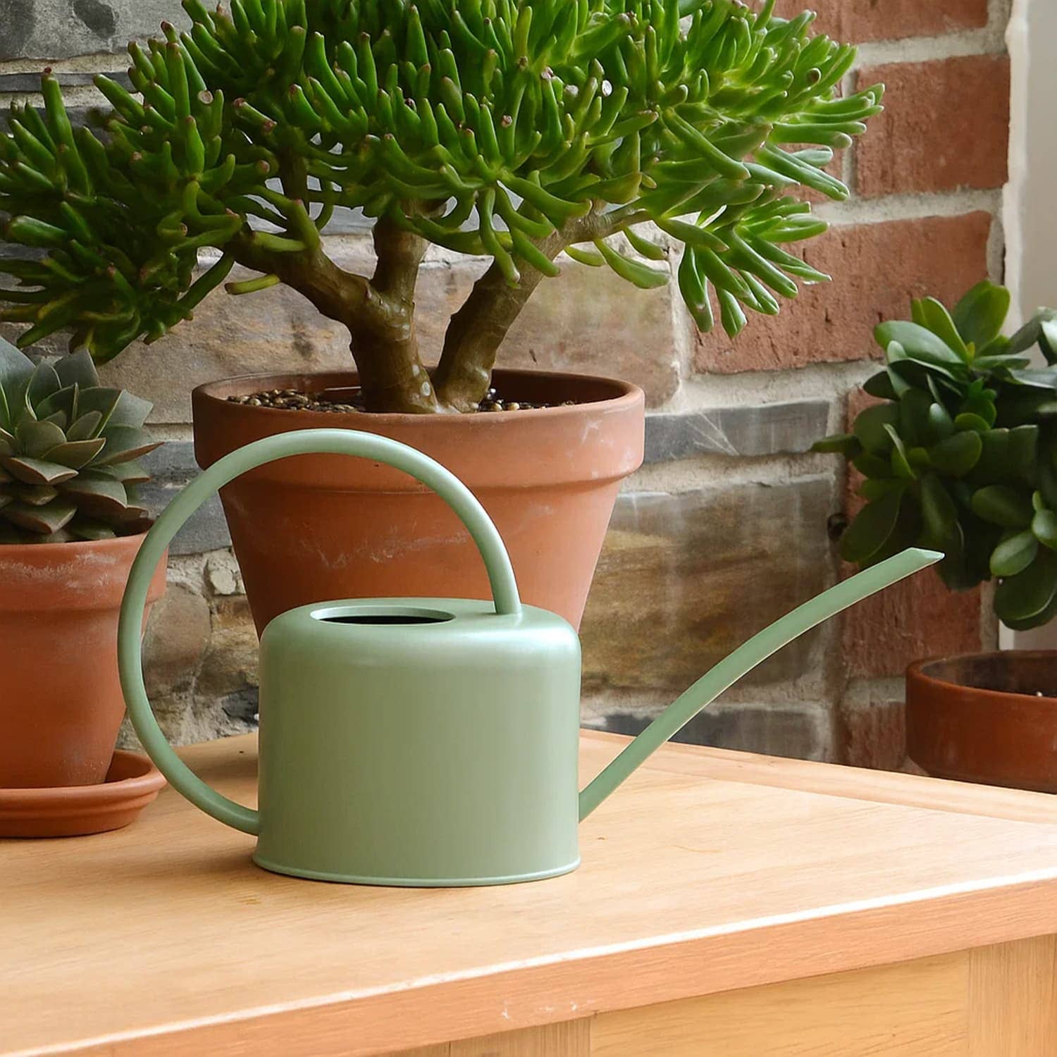 Wholesale Gifts Tomorrow - Wholesale Watering Can - Indoor Watering Can (Sage Green) (1.1 litre) Coated Steel1