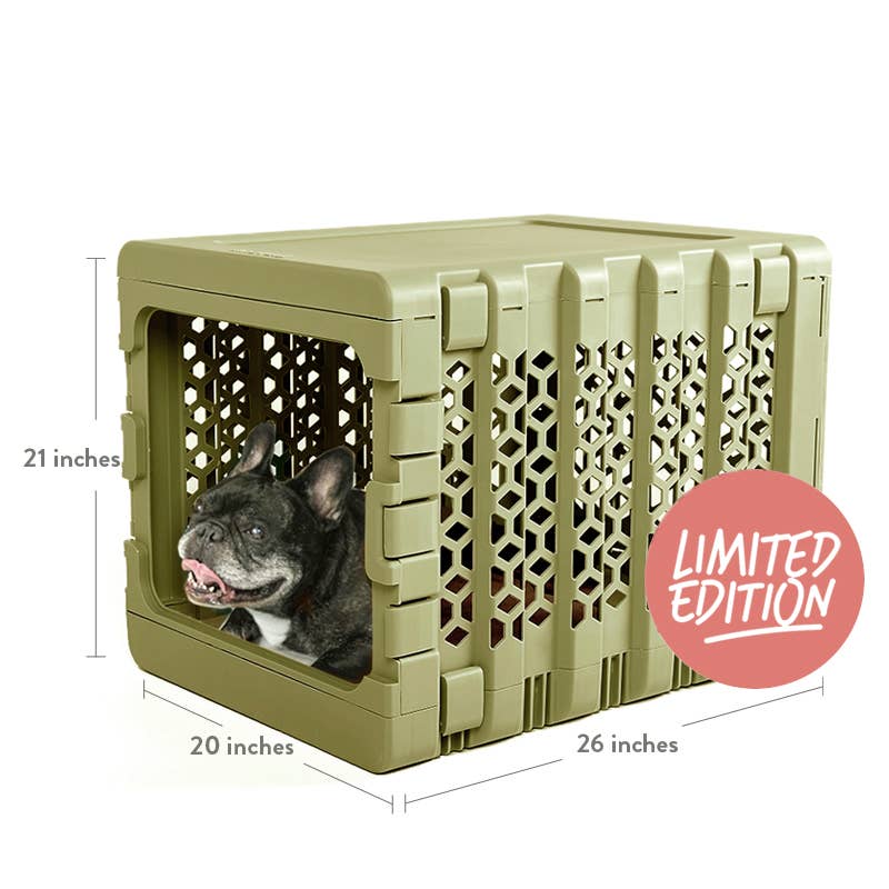 KindTail - Wholesale Pet Carrier - Dog - Medium Pawd® | Modern Collapsible Plastic Dog & Pet Crate2