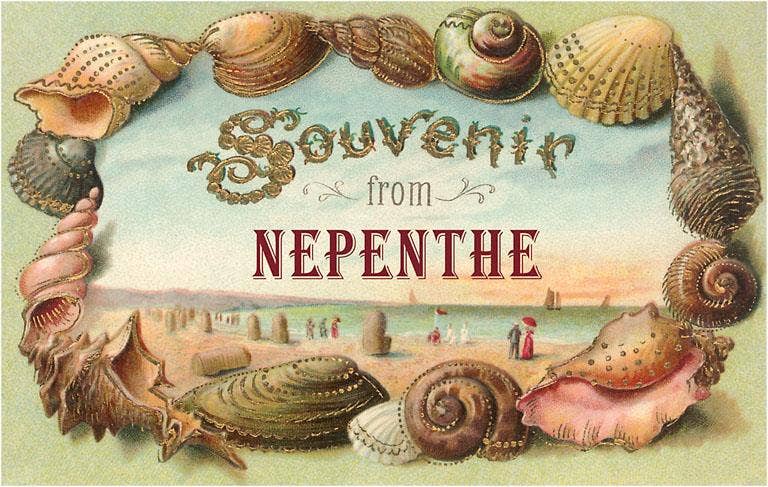 Found Image Press - Wholesale Magnet - Magnet CA-1339 Souvenir from Nepenthe0