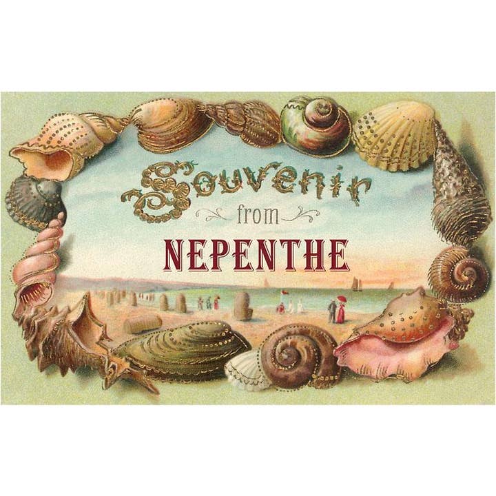Found Image Press - Wholesale Magnet - Magnet CA-1339 Souvenir from Nepenthe