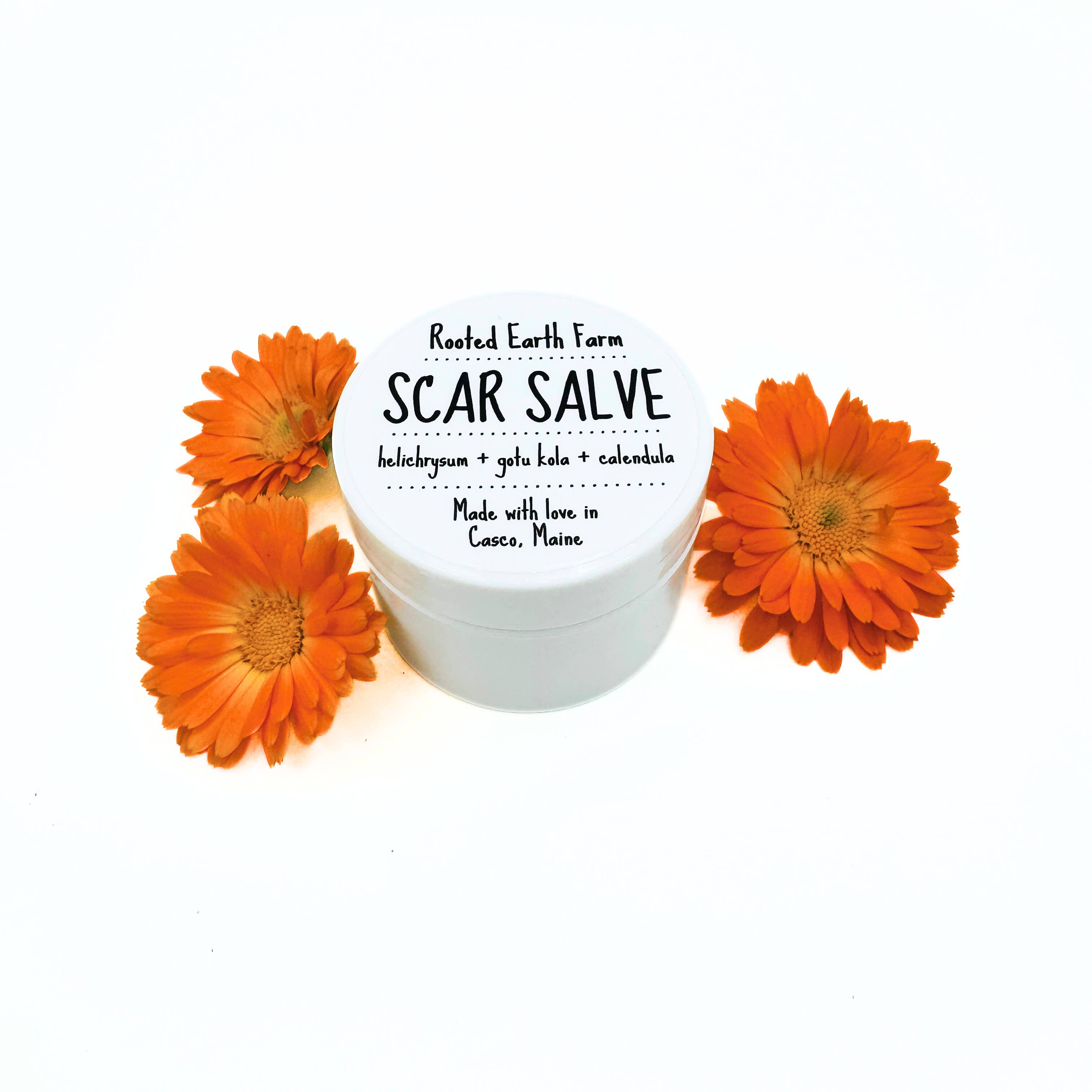 Rooted Earth Farm + Apothecary - Wholesale Healing Salve/Balm/Cream - Scar Salve - 3 Size Options1