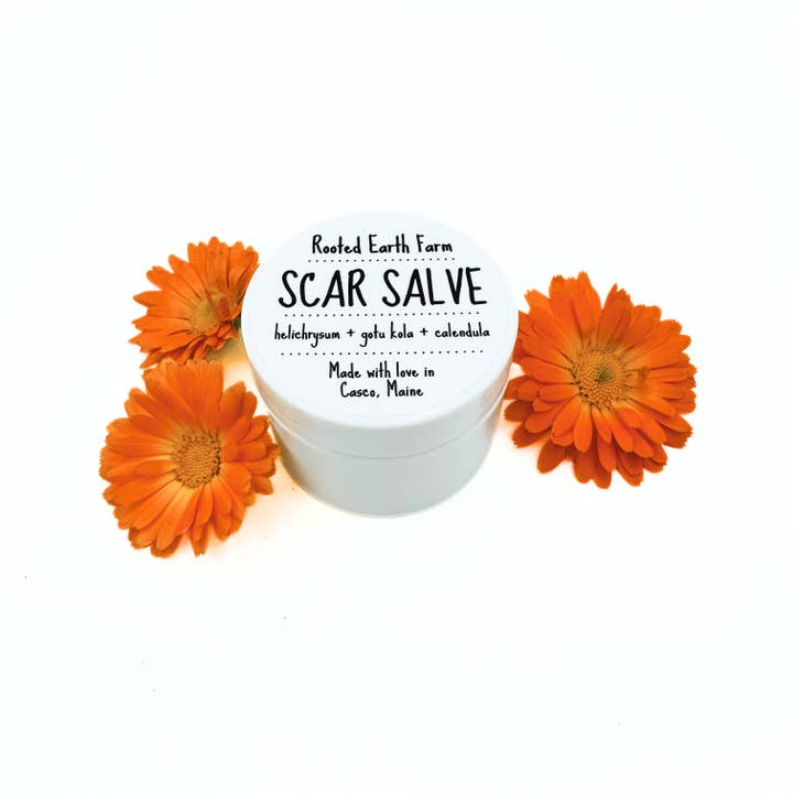 Rooted Earth Farm + Apothecary - Vente Crème/baume/pommade cicatrisante - Scar Salve - 3 options de taille1