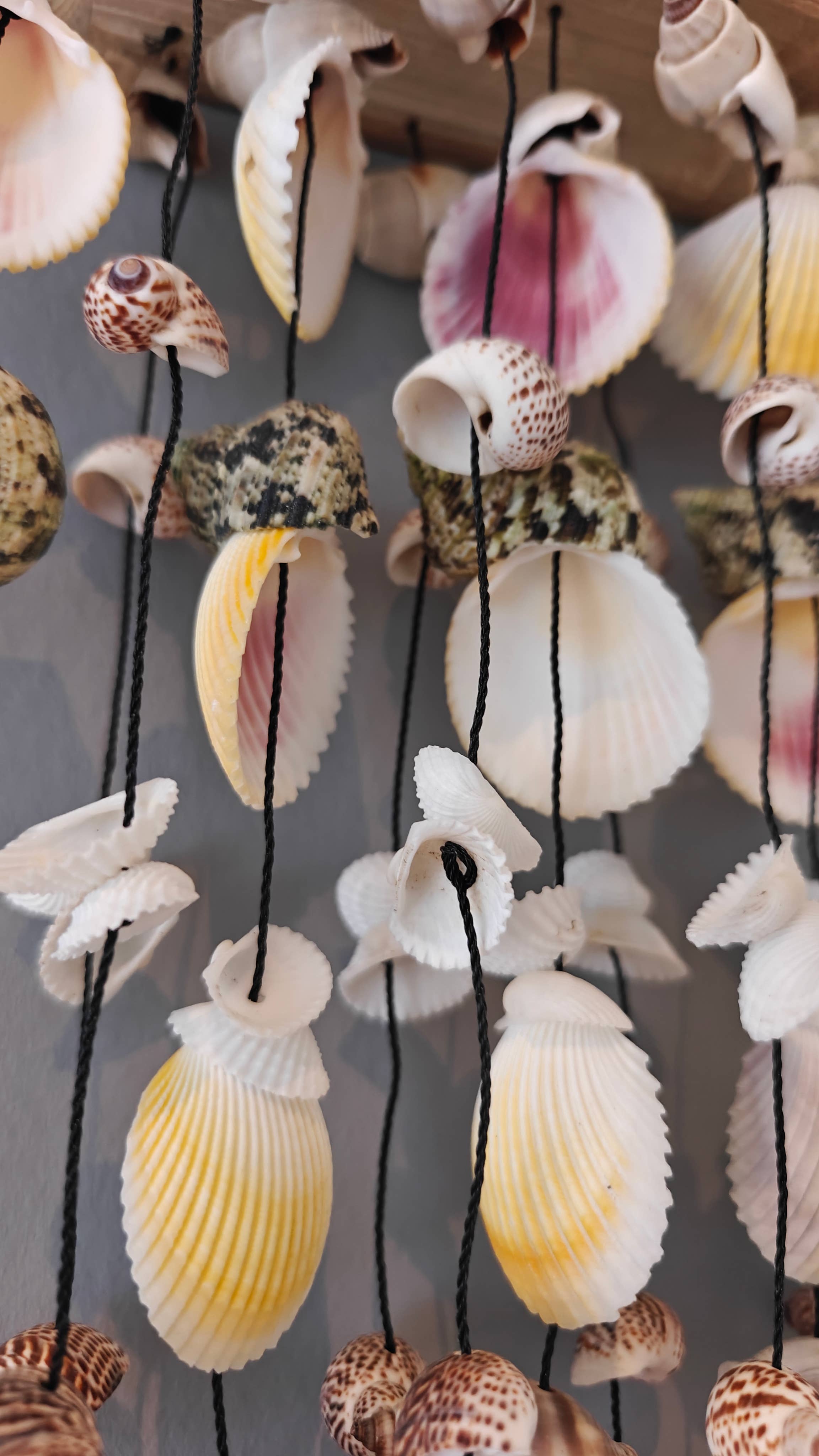 Product Import Holland – Engroshandel Vindharpe – Bambus vindspil med skaller - tropisk kystdekoration3