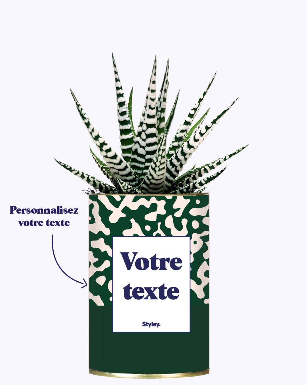 Styley - Wholesale Succulent - Pattern Vert - Plante Personnalisable0